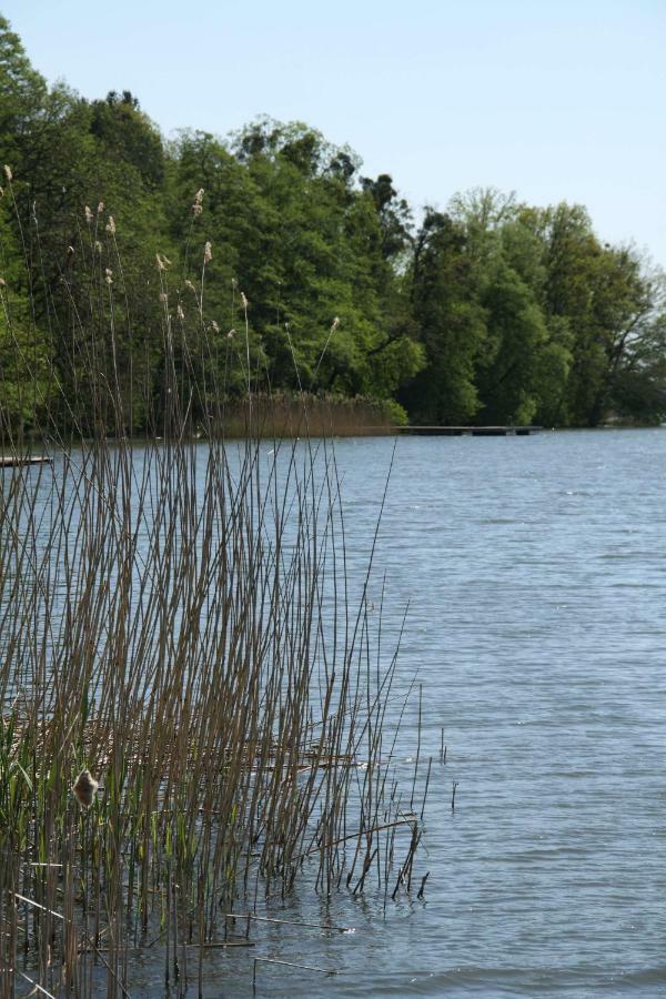 Lake View Apartamenty Brodnica  Bagian luar foto