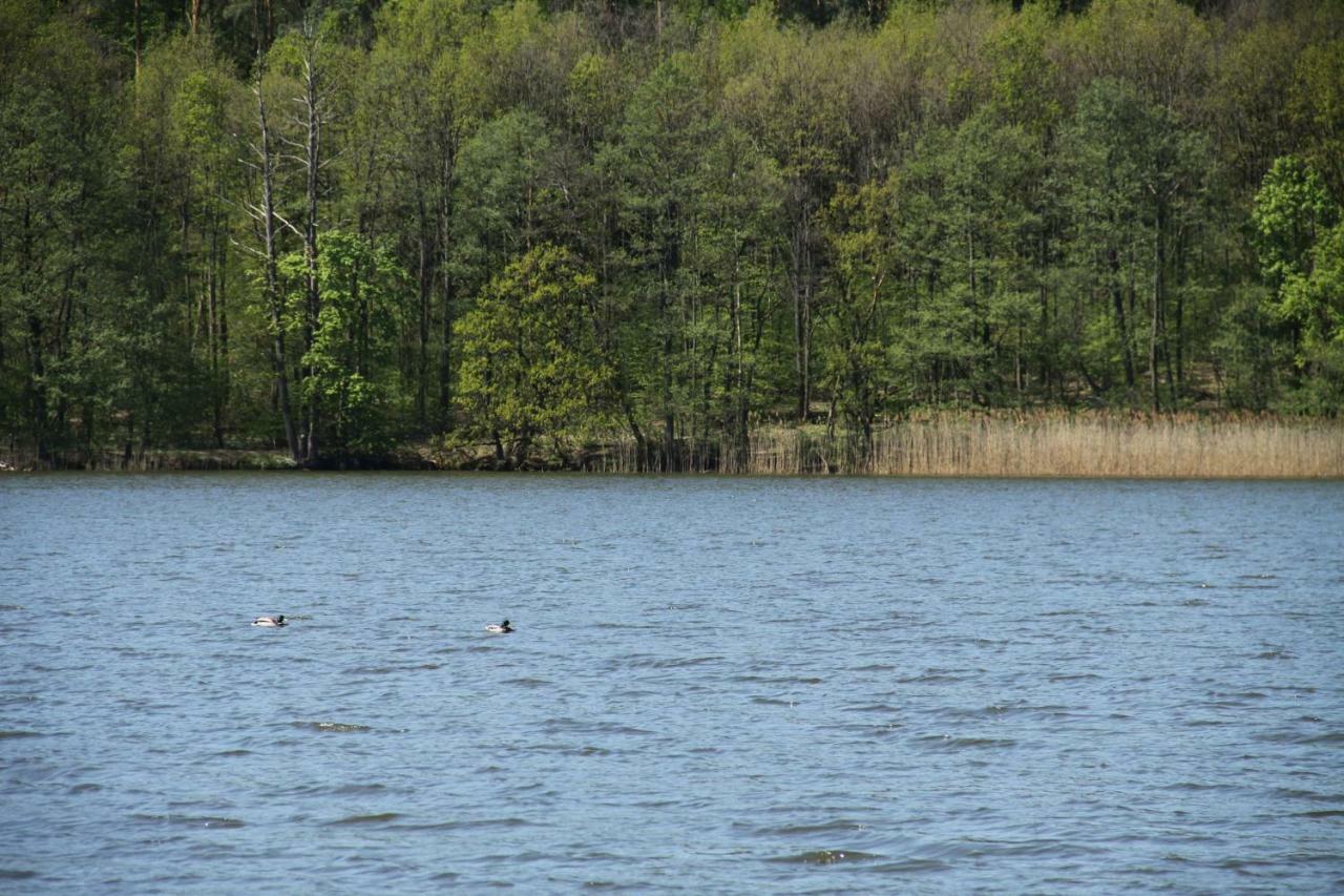 Lake View Apartamenty Brodnica  Bagian luar foto